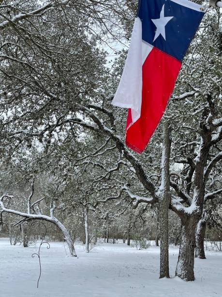 istock Texas landscape scene in snow 1304296866