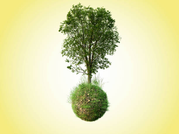 istock Beautiful trees isolated conceptual mini floating globe with diversity in natural landscapes and environments 1304302002