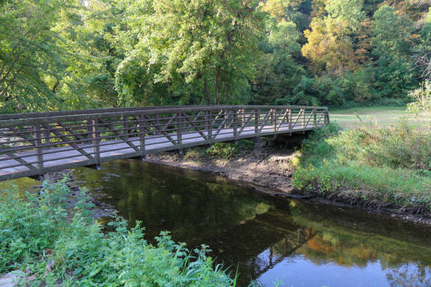 istock walking path wooden foot bridge over a creek river with forest glade beyond 1304303863