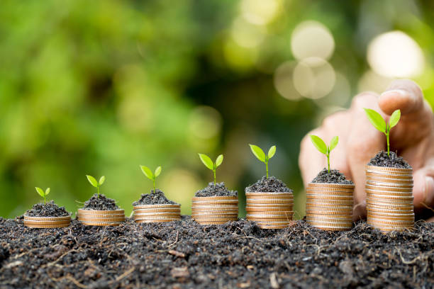 istock Hand putting coin on coin stack growing graph with green bokeh background,investment concept.tree growing on coin,Business Finance and Save Money concept 1304306775