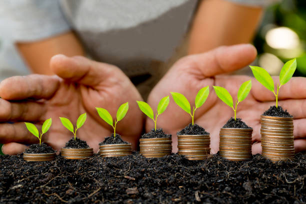 istock Hand putting coin on coin stack growing graph with green bokeh background,investment concept.tree growing on coin,Business Finance and Save Money concept 1304306800