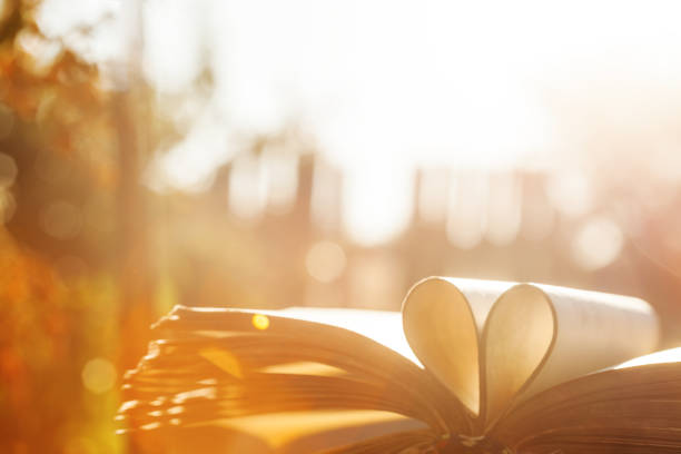 istock Blurred abstract heart background from book pages.Open book and heart 1304307732