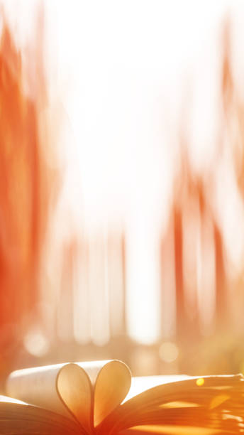 istock Open book.Abstract blurred hearts background from book pages with red accent. 1304307741