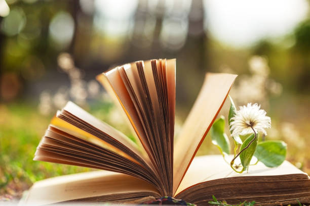 istock Opened book.Summer background with open book and bokeh. 1304307751