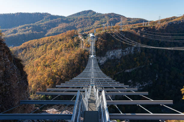 istock Suspension bridge in the Skypark 1304314460