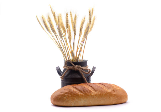 Composition of white bread, wheat, an old jug on white background