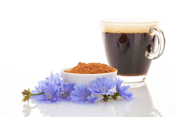 chicória de bebidas dietéticas em uma xícara - substitutos de café, pó e flores no fundo branco. - succory - fotografias e filmes do acervo
