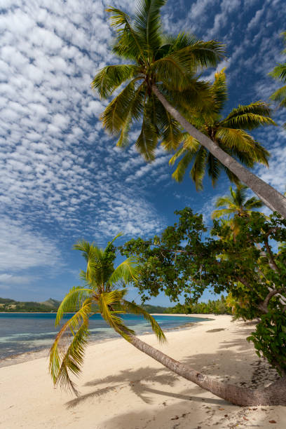 istock Yasawa Islands - Fiji - South Pacific 1304318092