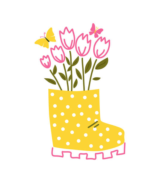 70+ Beautiful Tulips In Rubber Boots. Illustrations, Royalty-Free ...