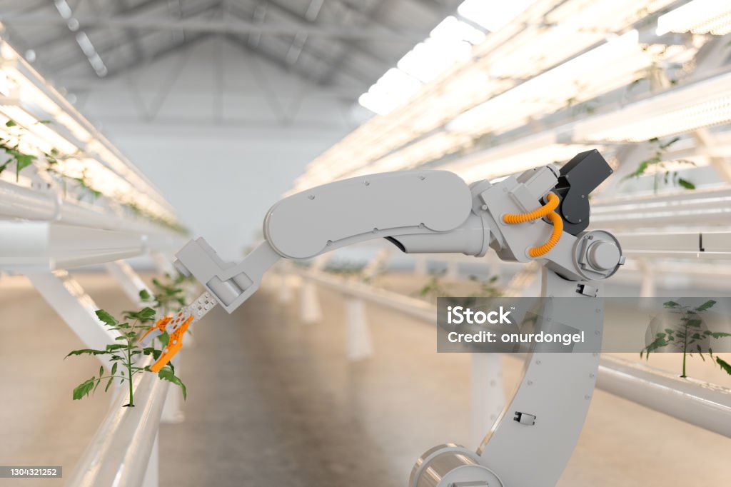 Automatic Agricultural Technology With Robotic Arm In Hydroponic Vertical Farm. - Royalty-free Agricultura vertical Foto de stock