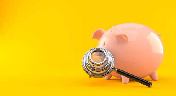 istock Piggy bank with magnifying glass 1304324966