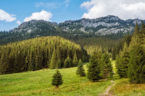 istock Ohniste rock massif, Low Tatras mountains, Slovakia 1304325360