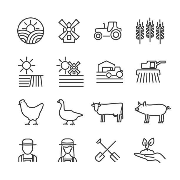 Vector image set of agriculture and farm line icons. Vector image set of agriculture and farm line icons. goose meat illustrations stock illustrations