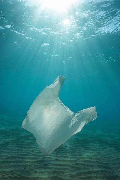 istock Plastic bag pollution underwater sea with sunlight 1304328465