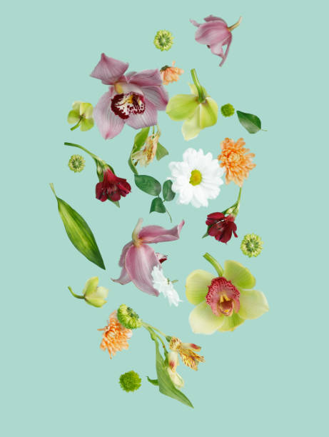 Beautiful flying pastel flowers falling and levitating against mint background