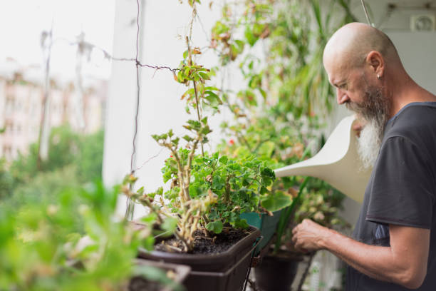 istock Single man watering plants at his home 1304336235