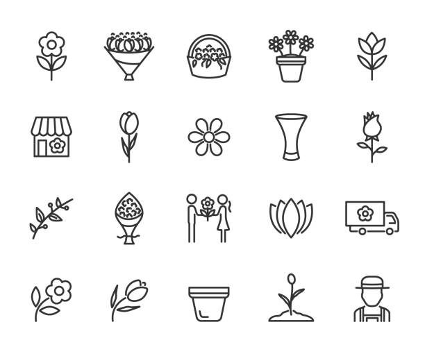 illustrations, cliparts, dessins animés et icônes de ensemble vectoriel d’icônes de ligne de fleur. contient des icônes de bouquet, boutique de fleurs, tulipes, rose, panier à fleurs, vase, jardinier et plus encore. pixel parfait. - milieu de table