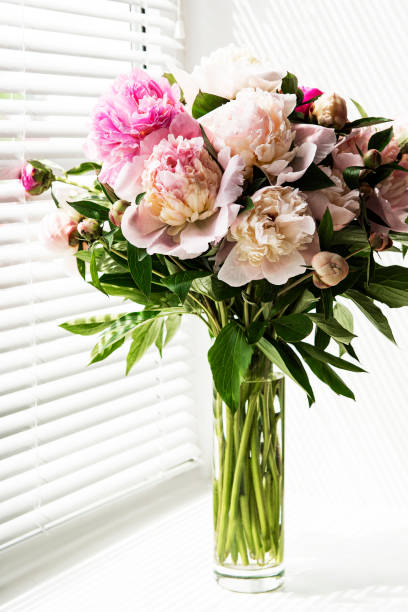 istock Beautiful pink peony bouquet in a vase. 1304337590
