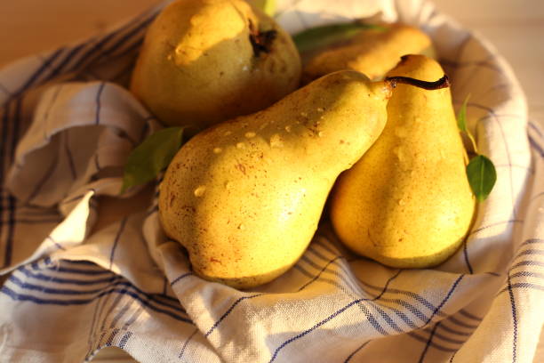 istock Yellow pears with leaves on a white background. 1304344075