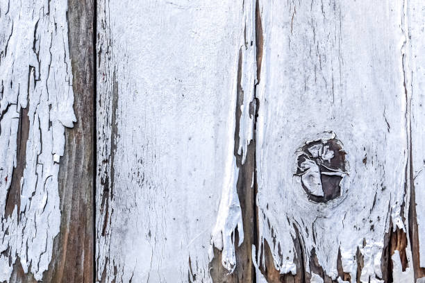 istock Weathered vintage wooden planks background texture with white peeling paint 1304349522