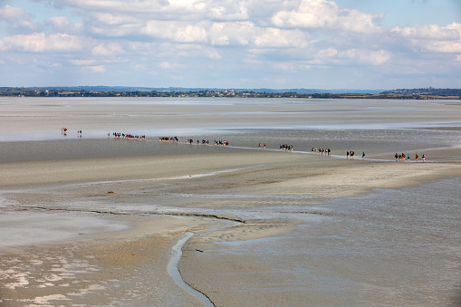 Le Mont-Saint-Michel, France - September 13, 2018: Group of hikers in the bay at low tide. Hike in the bay with a knowledgeable guide. Mont Saint-Michel , Normandy, France