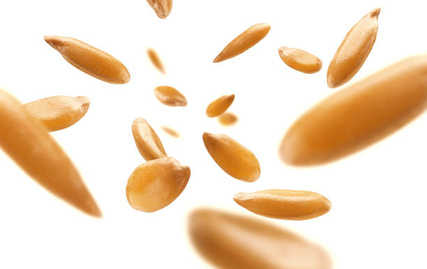 istock Flax seeds are levitated on a white background 1304354091
