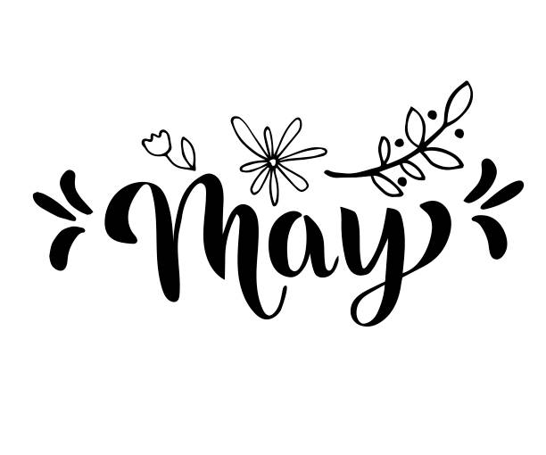 May word May word. May concept text with leaves, tulip, flowers. Vector illustration of May hand lettering text for poster, card, banner, template design. Spring month. may stock illustrations