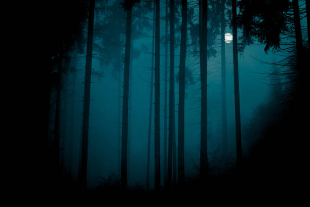 istock Full moon through the spruce trees in magic mystery night forest. Halloween backdrop. 1304355137