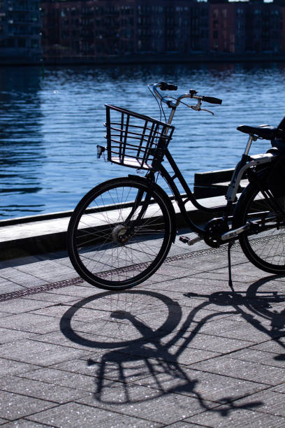 istock Female bicycle parked by the sea 1304356714