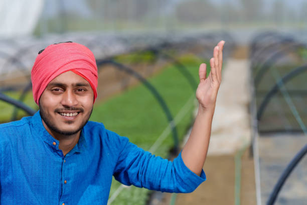 istock Young indian farmer at greenhouse or poly house 1304358932