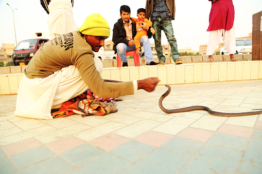 Karachi – Pakistan: A Young adult Pakistani snake charmer performing snake dance for crowd at Clifton beach in Karachi, Pakistan.