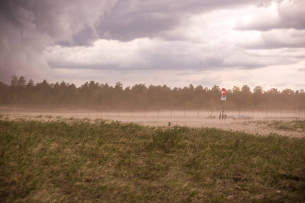 istock dust storm in an open field in spring 1304363051