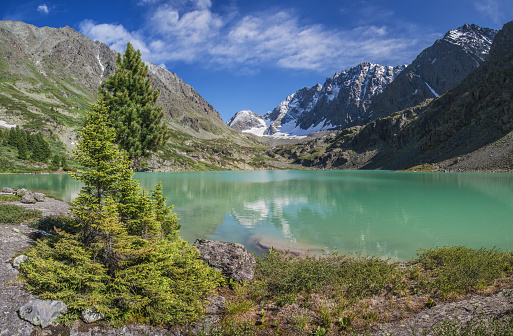 A picturesque lake in the Altai mountains on a summer morning