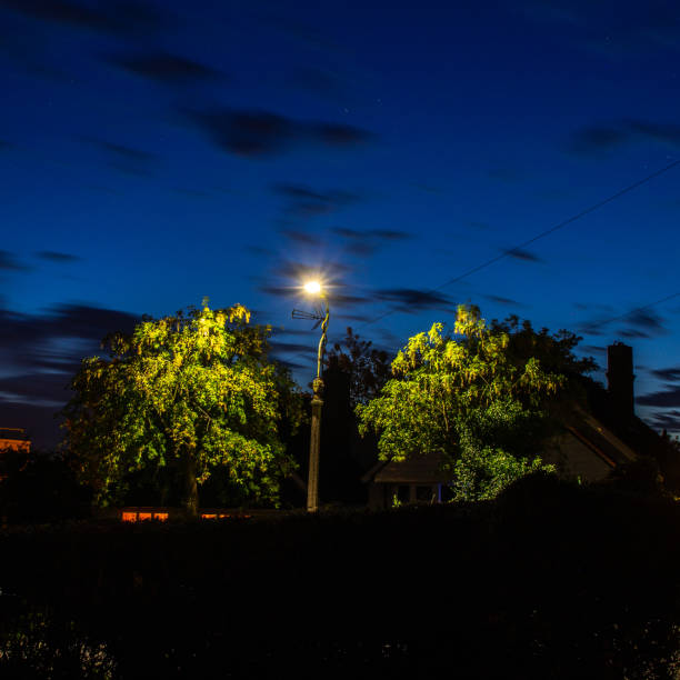 istock Dark blue night sky street light on the green trees 1304368379