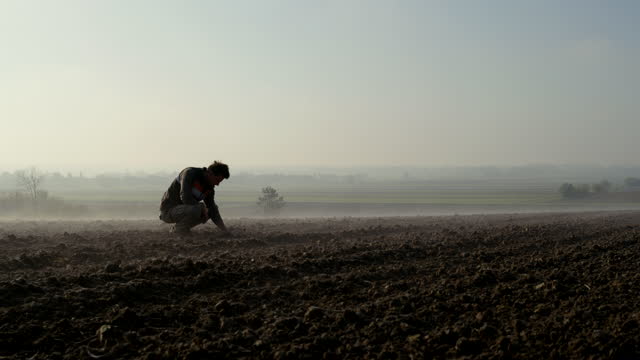 SLO MO Farmer examining soil on a field covered by fog