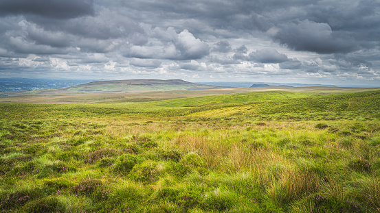 Green meadow and pasture with long grass, ferns and heather in Cuilcagh Mountain Park, stormy, dramatic sky in background, Northern Ireland