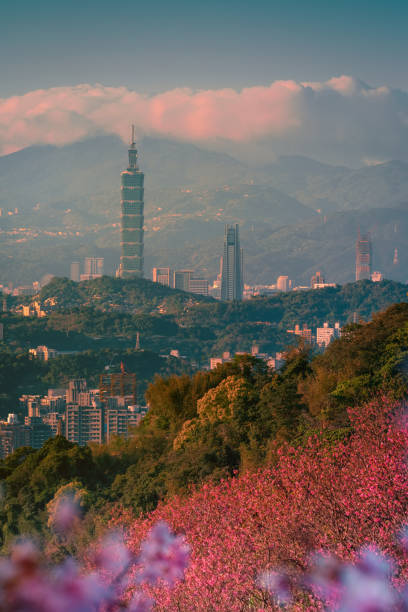 istock Beautiful Spring Taiwan landscape 1304370045