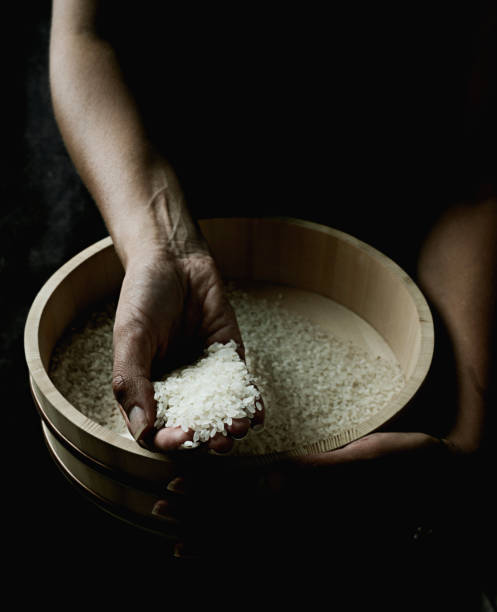 Plain rice in a typical Japanese wooden tub hangiri stock photo