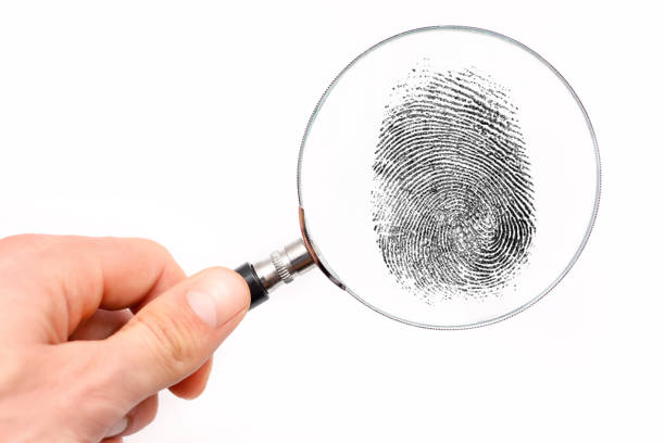 istock Magnifying glass in hand and fingerprint isolated on white background 1304372622