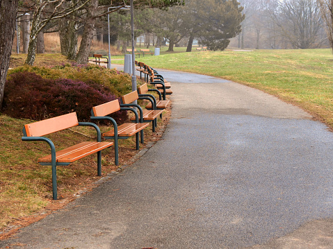 Row of empty wooden benches at a park with copy space