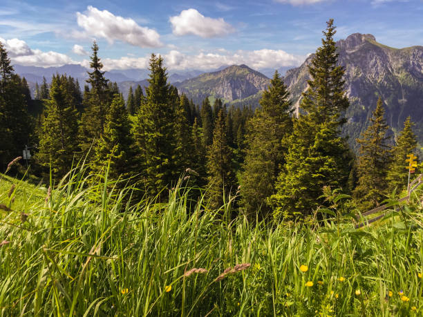 istock Beautiful mountains view on the sunny day 1304373604
