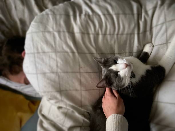 istock Man sleeping in a bedroom with a cat 1304373867