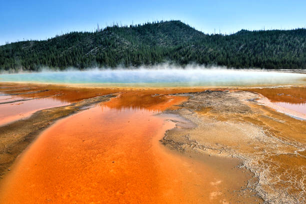 Flowing pattern and geyser, Yellowstone National Park, USA.