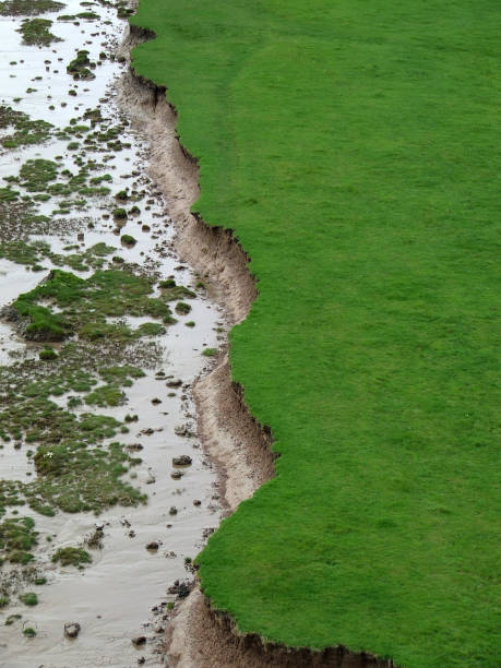 Severn Estuary river bank erosion, Gloucestershire, United Kingdom stock photo