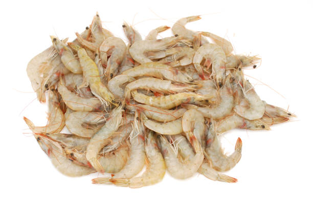istock Top view of fresh raw shrimp bundle on white 1304383700