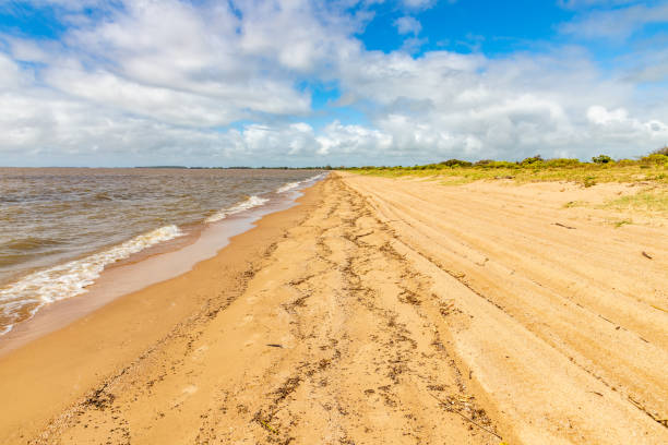 istock Beach in Lagoa do Patos lake 1304386003