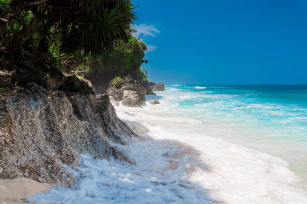 istock Tropical beach in Bali. Paradise beach and blue ocean with waves 1304386473