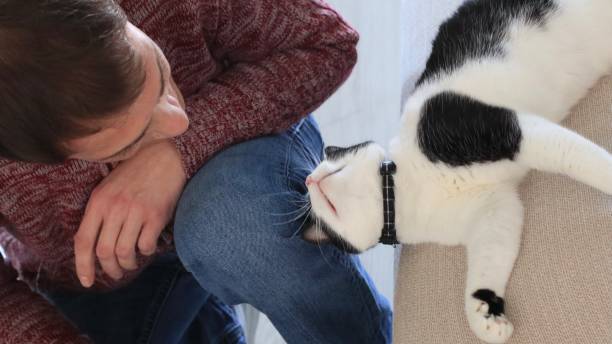 istock Man relaxing with a cute in the living room 1304387599