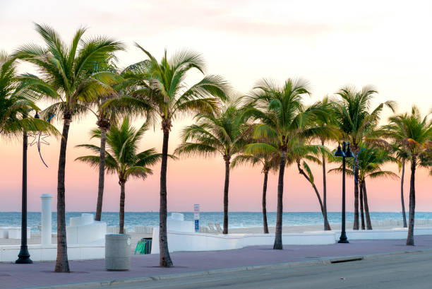 istock Beach in Ft Lauderdale, Florida in early hours 1304389234