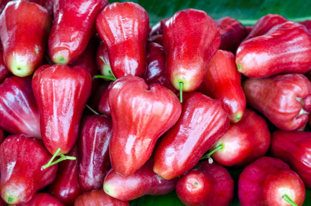 Group of fresh sweet red rose apple fruit pile at the market Group of fresh sweet red rose apple fruit pile at the market water apple stock pictures, royalty-free photos & images